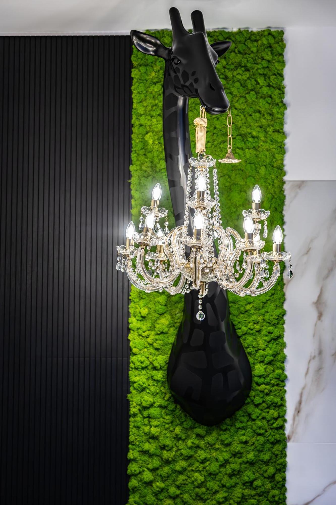 Adamas Apartment , Rooms And Suite Trapani Bagian luar foto